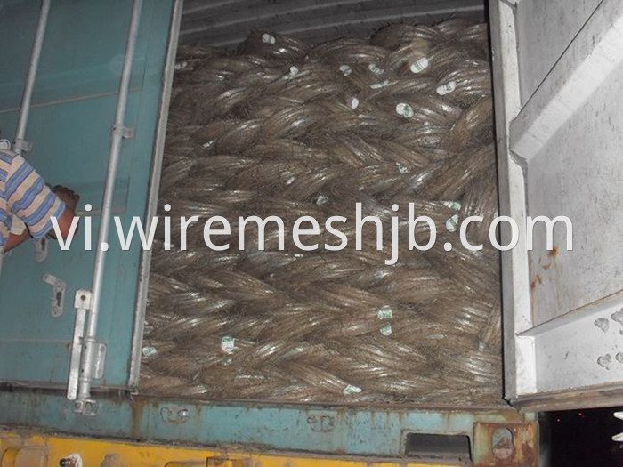 Galvanized Wire BWG20